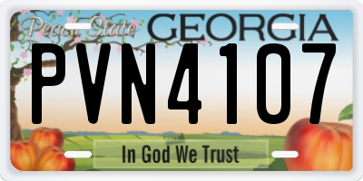 GA license plate PVN4107