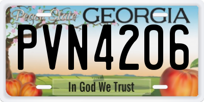 GA license plate PVN4206