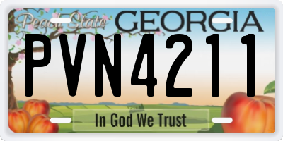 GA license plate PVN4211