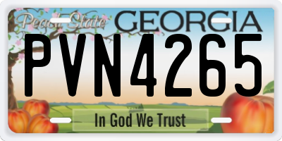 GA license plate PVN4265
