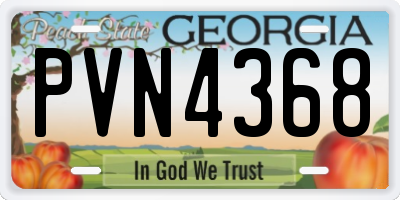 GA license plate PVN4368
