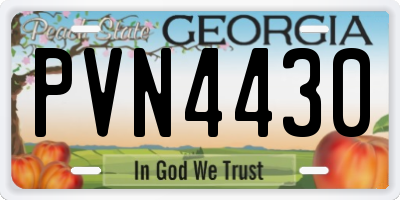 GA license plate PVN4430