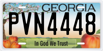 GA license plate PVN4448