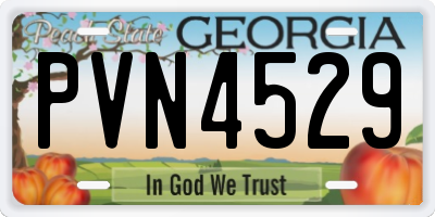 GA license plate PVN4529