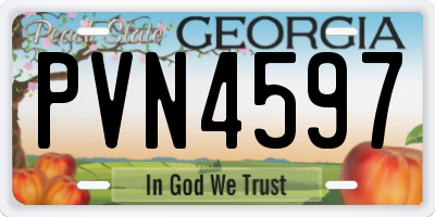 GA license plate PVN4597