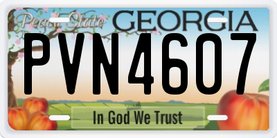 GA license plate PVN4607