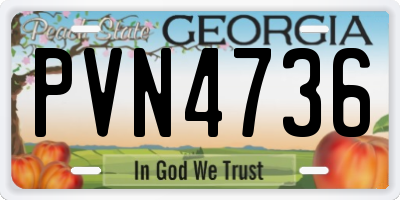 GA license plate PVN4736
