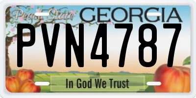 GA license plate PVN4787