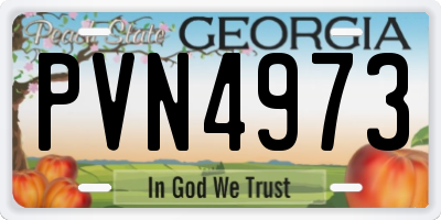 GA license plate PVN4973