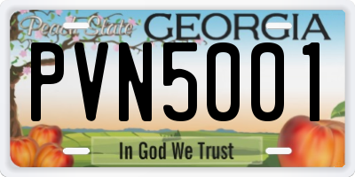 GA license plate PVN5001