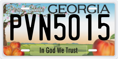 GA license plate PVN5015