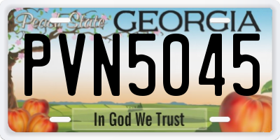 GA license plate PVN5045