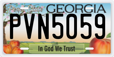 GA license plate PVN5059