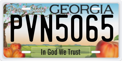 GA license plate PVN5065