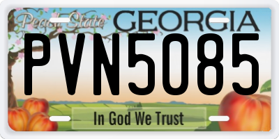 GA license plate PVN5085