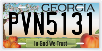 GA license plate PVN5131