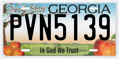 GA license plate PVN5139