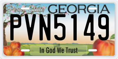GA license plate PVN5149