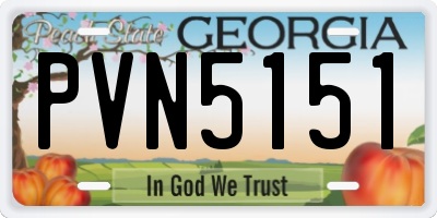 GA license plate PVN5151