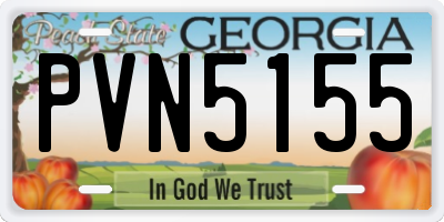 GA license plate PVN5155