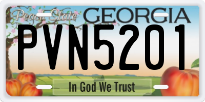GA license plate PVN5201