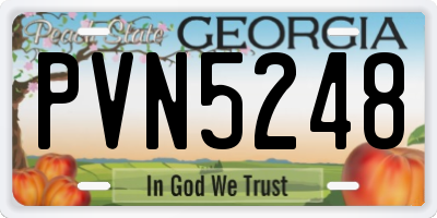GA license plate PVN5248
