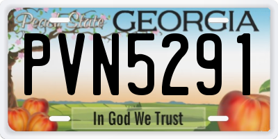 GA license plate PVN5291