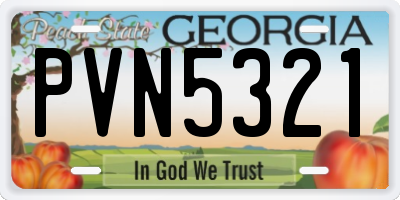 GA license plate PVN5321