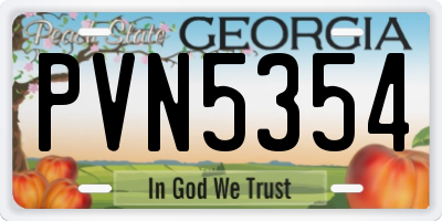 GA license plate PVN5354