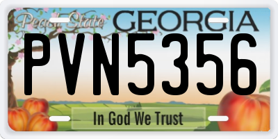 GA license plate PVN5356