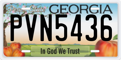 GA license plate PVN5436