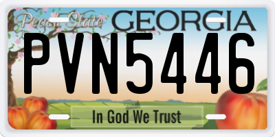 GA license plate PVN5446