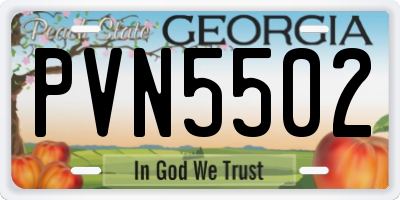 GA license plate PVN5502