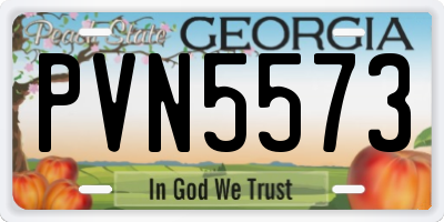 GA license plate PVN5573