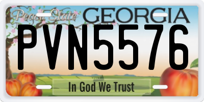 GA license plate PVN5576
