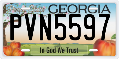 GA license plate PVN5597