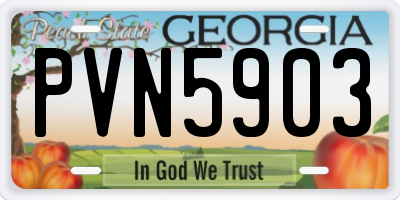 GA license plate PVN5903