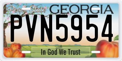 GA license plate PVN5954