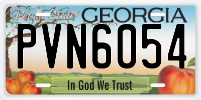 GA license plate PVN6054