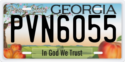 GA license plate PVN6055