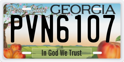 GA license plate PVN6107