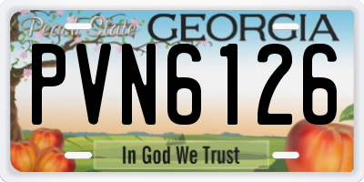 GA license plate PVN6126
