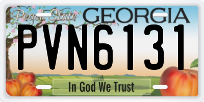 GA license plate PVN6131