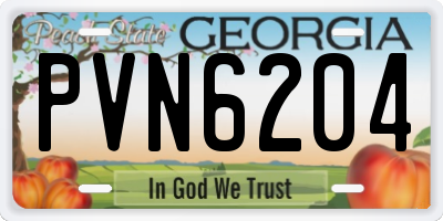 GA license plate PVN6204