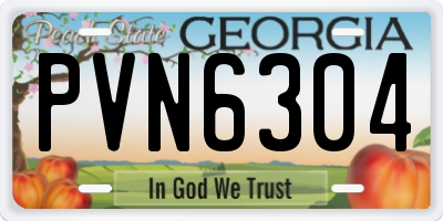 GA license plate PVN6304