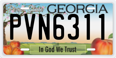 GA license plate PVN6311