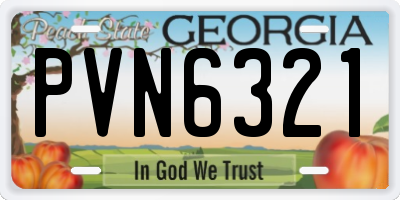 GA license plate PVN6321