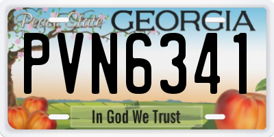 GA license plate PVN6341