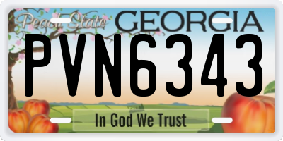 GA license plate PVN6343