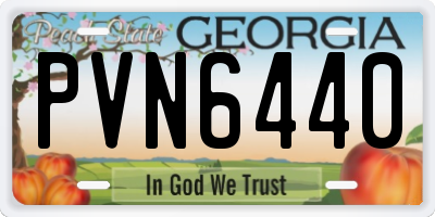 GA license plate PVN6440